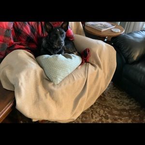 Meet your Posher, Steven